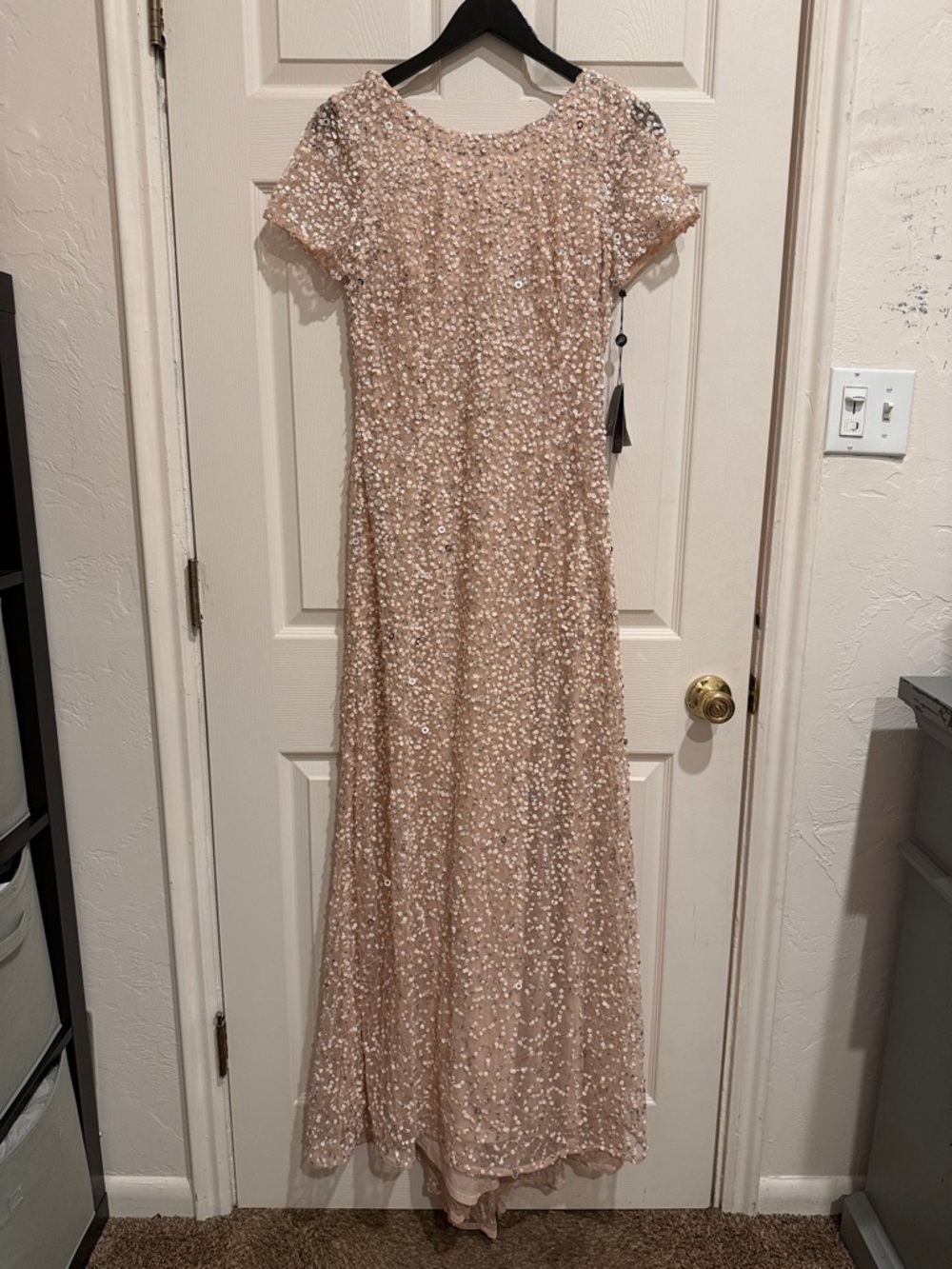 Adrianna Papell Blush Beaded Sequin Maxi Dress with Short Sleeves